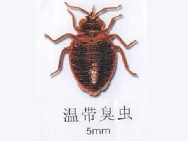 滅臭蟲公司費(fèi)用一定要控制在合理范內(nèi)