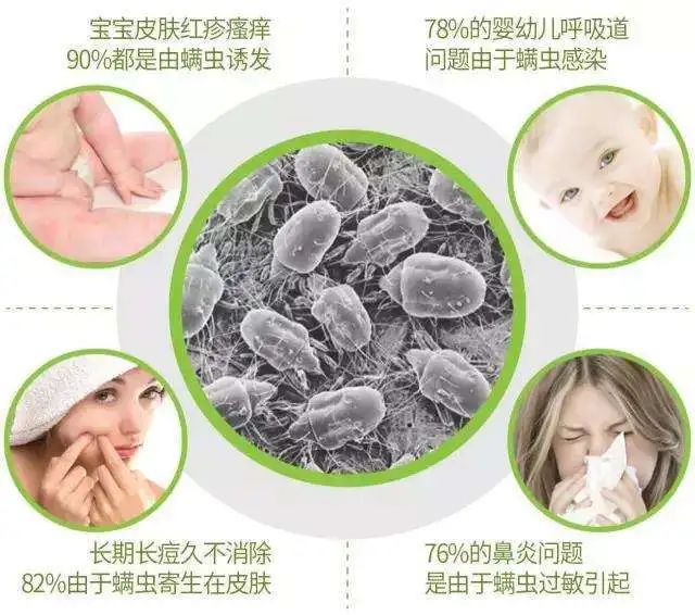 被子不方便曬怎么除螨？曬被子需要曬兩面嗎？