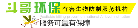 服務(wù)優(yōu)勢